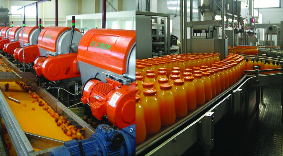 Fruit Pulp / Juice Unit: Cost, Subsidy, Income (2026) - Cover Image