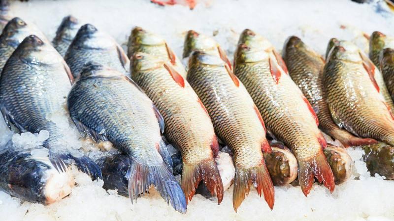 फिश प्रोसेसिंग यूनिट