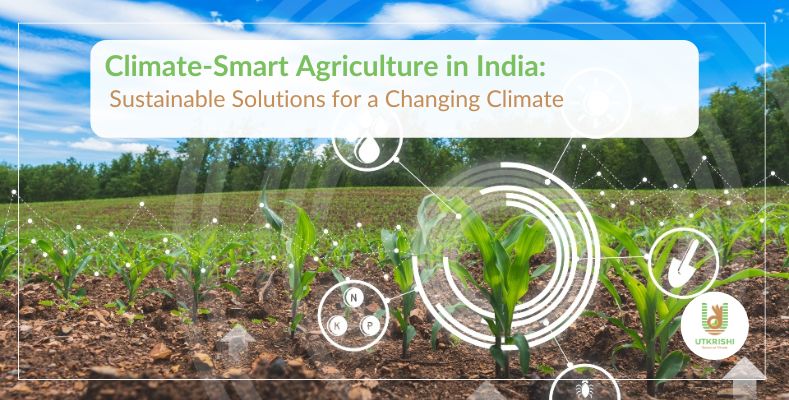 Climate-smart agriculture in India